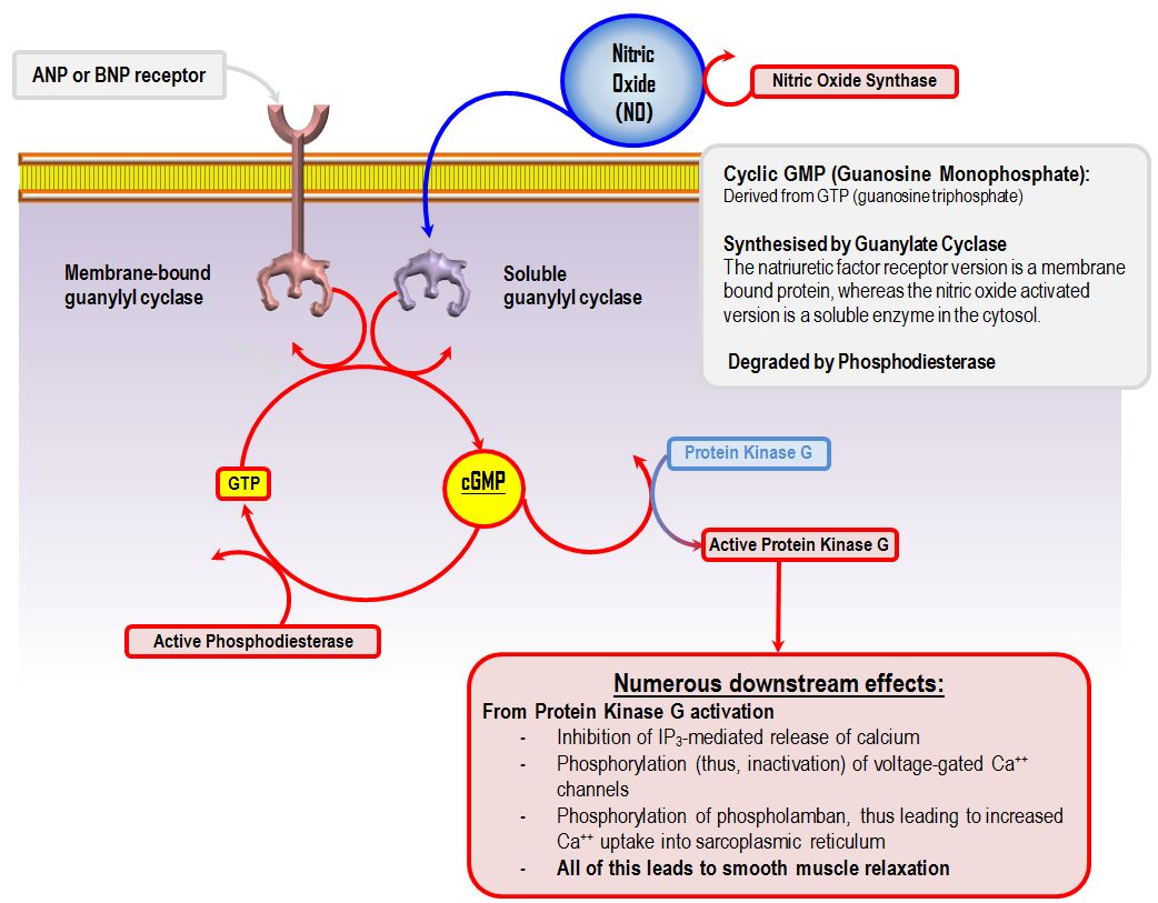 Inhaled and systemic pulmonary vasodilators for ARDS Deranged Physiology
